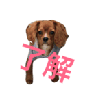 ともきち108（個別スタンプ：4）