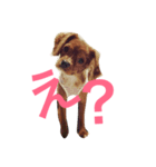 ともきち108（個別スタンプ：7）