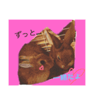 日常会話 うさぎとねこ（個別スタンプ：4）