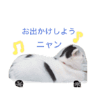 日常会話 うさぎとねこ（個別スタンプ：10）