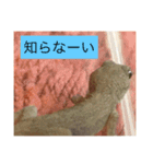 爬虫類くん（個別スタンプ：2）