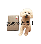 ペコスタンプ（個別スタンプ：13）