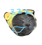 いくら先生（個別スタンプ：7）