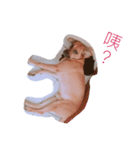 BDDeveryday（個別スタンプ：1）