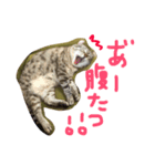 Curl curl 1（個別スタンプ：5）