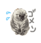 Curl curl 1（個別スタンプ：8）