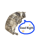 Curl curl 1（個別スタンプ：14）