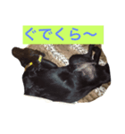 黒らぶくらさん(^^)（個別スタンプ：1）