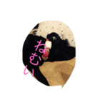 黒らぶくらさん(^^)（個別スタンプ：7）