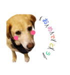 nana,02（個別スタンプ：8）
