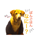 nana,02（個別スタンプ：27）
