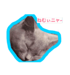 日常可愛いスタンプ（個別スタンプ：2）