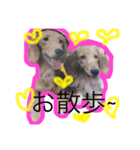 日常可愛いスタンプ（個別スタンプ：4）