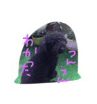マロのあれこれ（個別スタンプ：5）