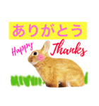 ラビット まる。スタンプ2（個別スタンプ：14）