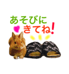 ラビット まる。スタンプ2（個別スタンプ：18）