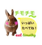ラビット まる。スタンプ2（個別スタンプ：19）