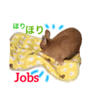ラビット まる。スタンプ2（個別スタンプ：20）