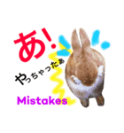 ラビット まる。スタンプ2（個別スタンプ：21）