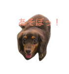 lovely るみちゃん ！！！（個別スタンプ：1）