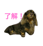 lovely るみちゃん ！！！（個別スタンプ：3）