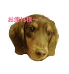lovely るみちゃん ！！！（個別スタンプ：4）