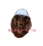 lovely るみちゃん ！！！（個別スタンプ：7）