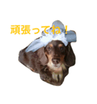lovely るみちゃん ！！！（個別スタンプ：8）