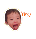 うちの子たち。2（個別スタンプ：1）