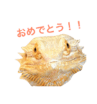 フトアゴのレーズン 2（個別スタンプ：7）