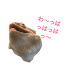 フトアゴのレーズン 2（個別スタンプ：13）