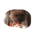 @krt（個別スタンプ：4）