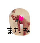 mocomiti（個別スタンプ：2）