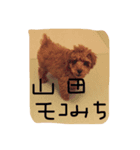 mocomiti（個別スタンプ：3）