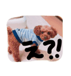 mocomiti（個別スタンプ：6）