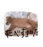mocomiti（個別スタンプ：7）
