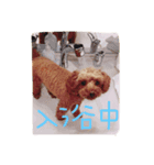 mocomiti（個別スタンプ：8）
