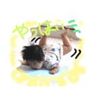 ベビベビベイビー！！！！（個別スタンプ：13）