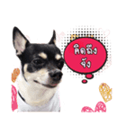 Taroaudi（個別スタンプ：2）