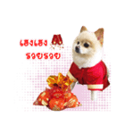 Taroaudi（個別スタンプ：8）