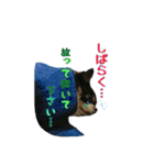 チワワのりあんとミラ（個別スタンプ：17）
