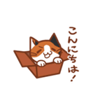 Nyanko family（個別スタンプ：1）