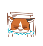 Nyanko family（個別スタンプ：24）
