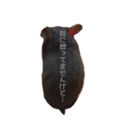 hamuster stamp 1（個別スタンプ：2）