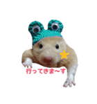 hamuster stamp 1（個別スタンプ：4）