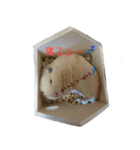 hamuster stamp 1（個別スタンプ：6）