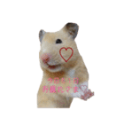 hamuster stamp 1（個別スタンプ：7）