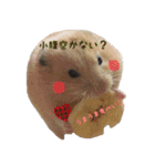 hamuster stamp 1（個別スタンプ：11）