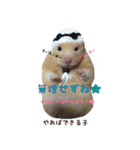 hamuster stamp 1（個別スタンプ：21）