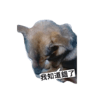 Fatbaby（個別スタンプ：4）